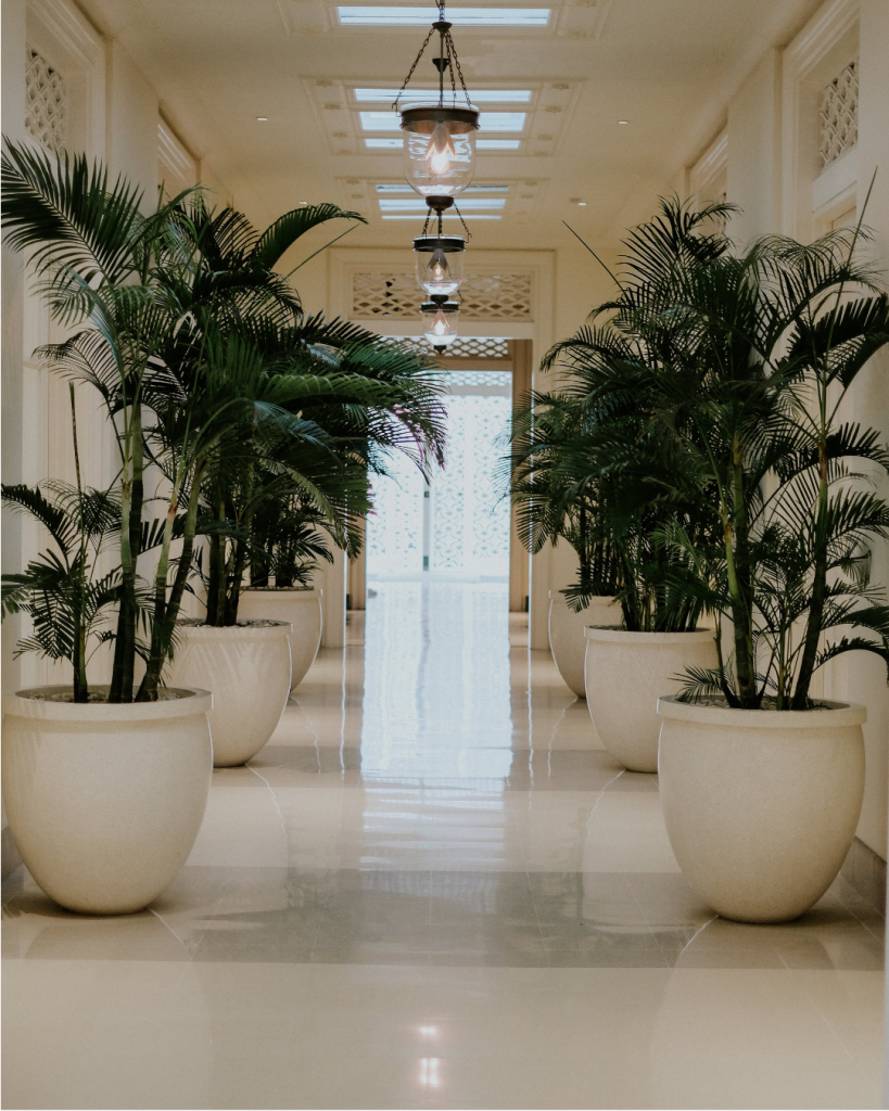 classic elegant beige room