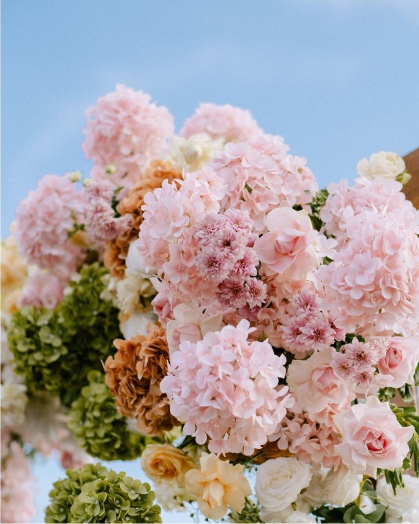 soft pink romantic flower