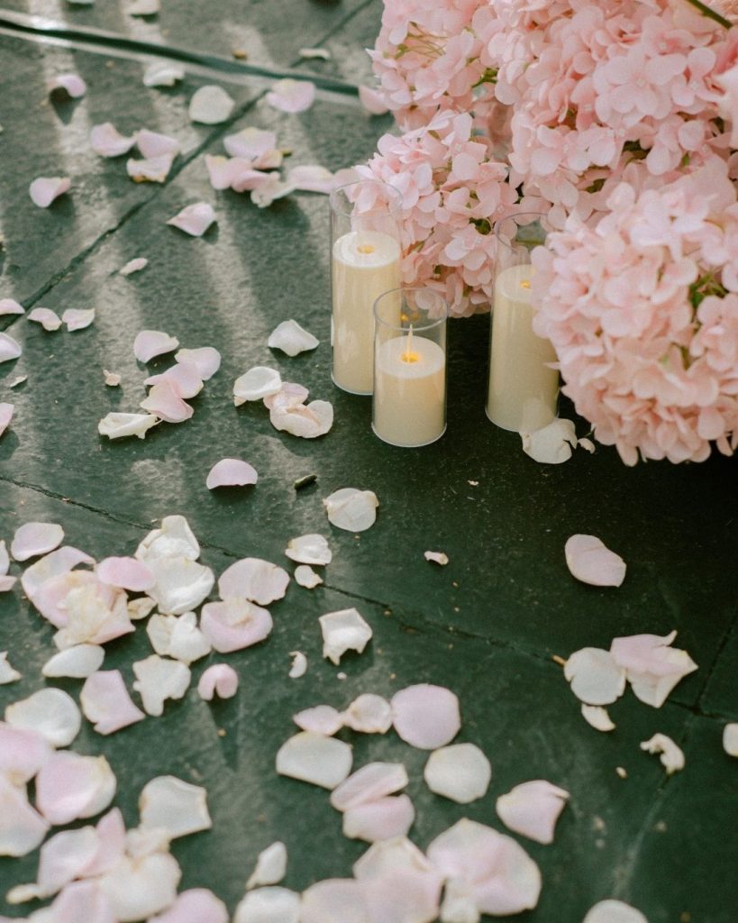 Pink flowers and scattered petals.